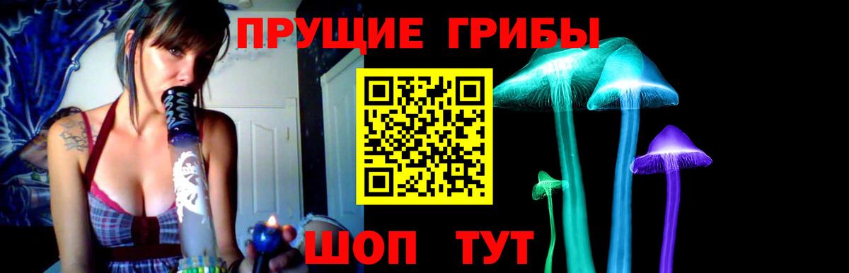Аксай  Псилоцибиновые грибы ЛСД  сколько стоит  Вход с VPN 